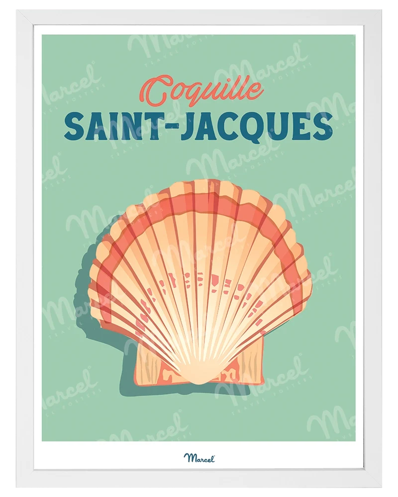 Affiche Travel Color "Coquille Saint-Jacques"