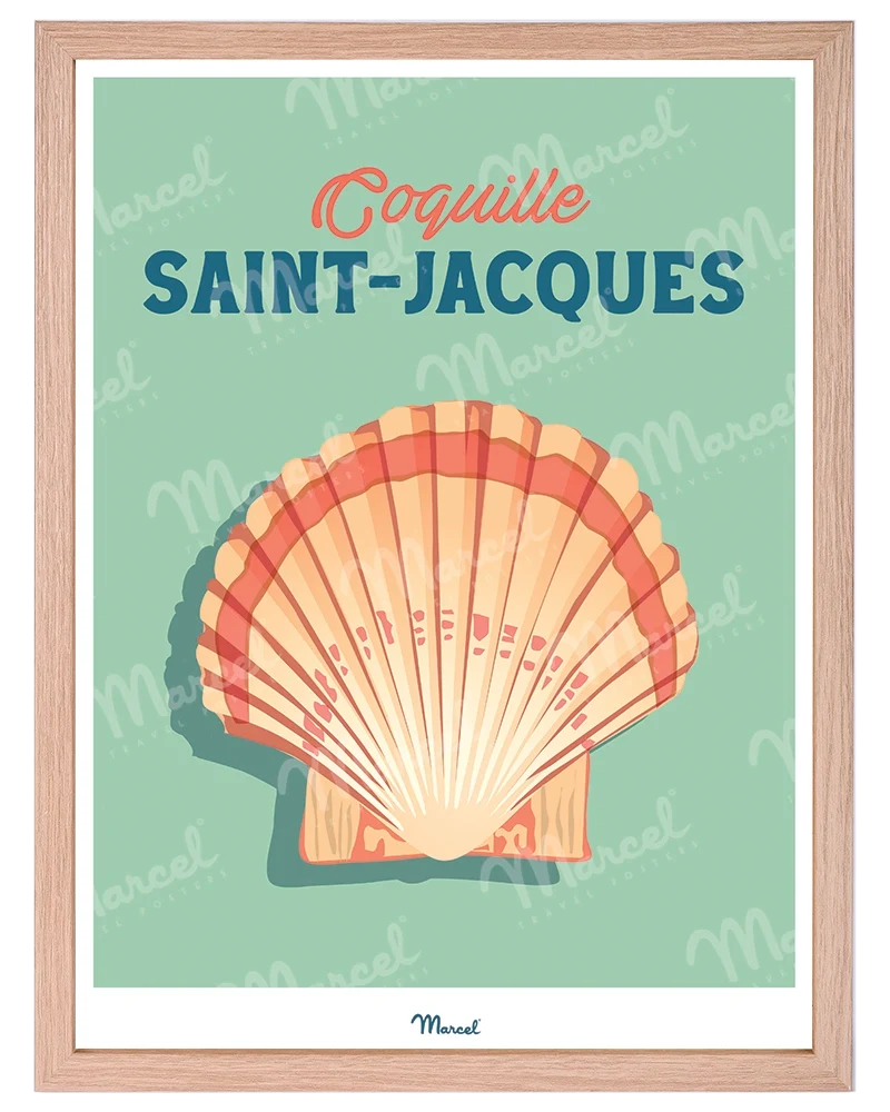 Affiche Travel Color "Coquille Saint-Jacques"