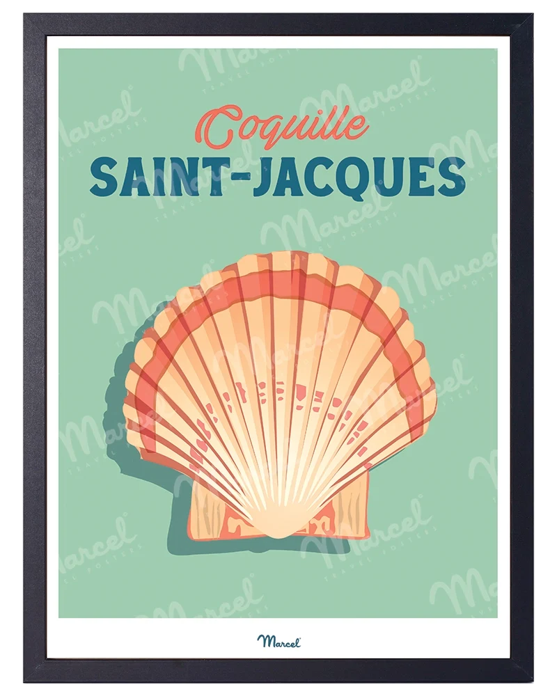 Affiche Travel Color "Coquille Saint-Jacques"