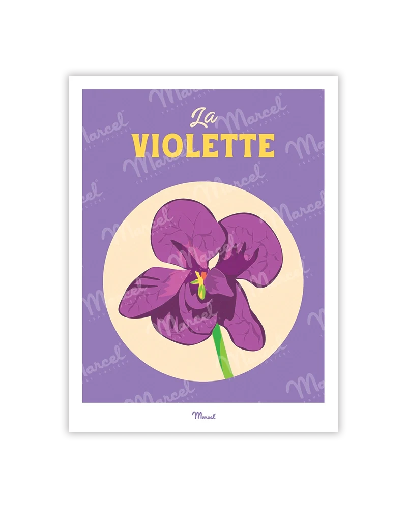 Carte Postale Travel Color TOULOUSE "La Violette"