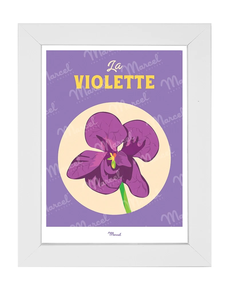 Carte Postale Travel Color TOULOUSE "La Violette"
