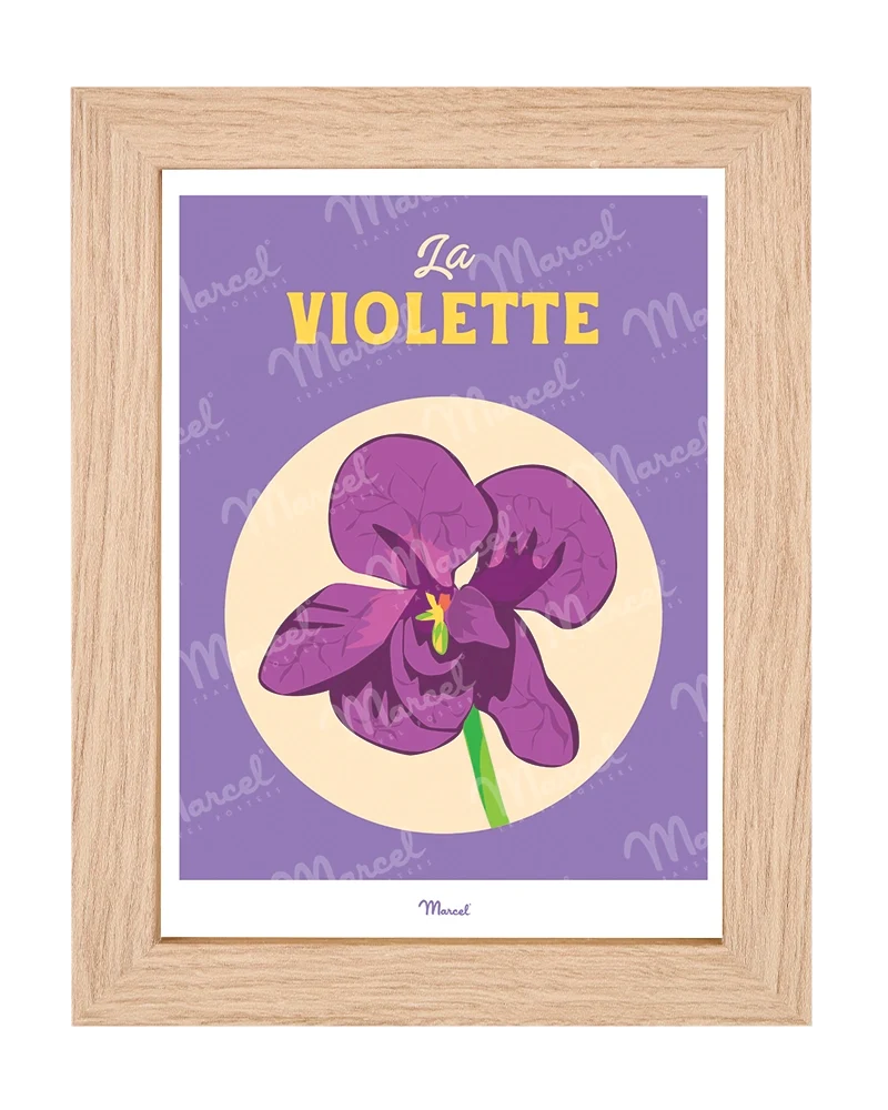 Carte Postale Travel Color TOULOUSE "La Violette"