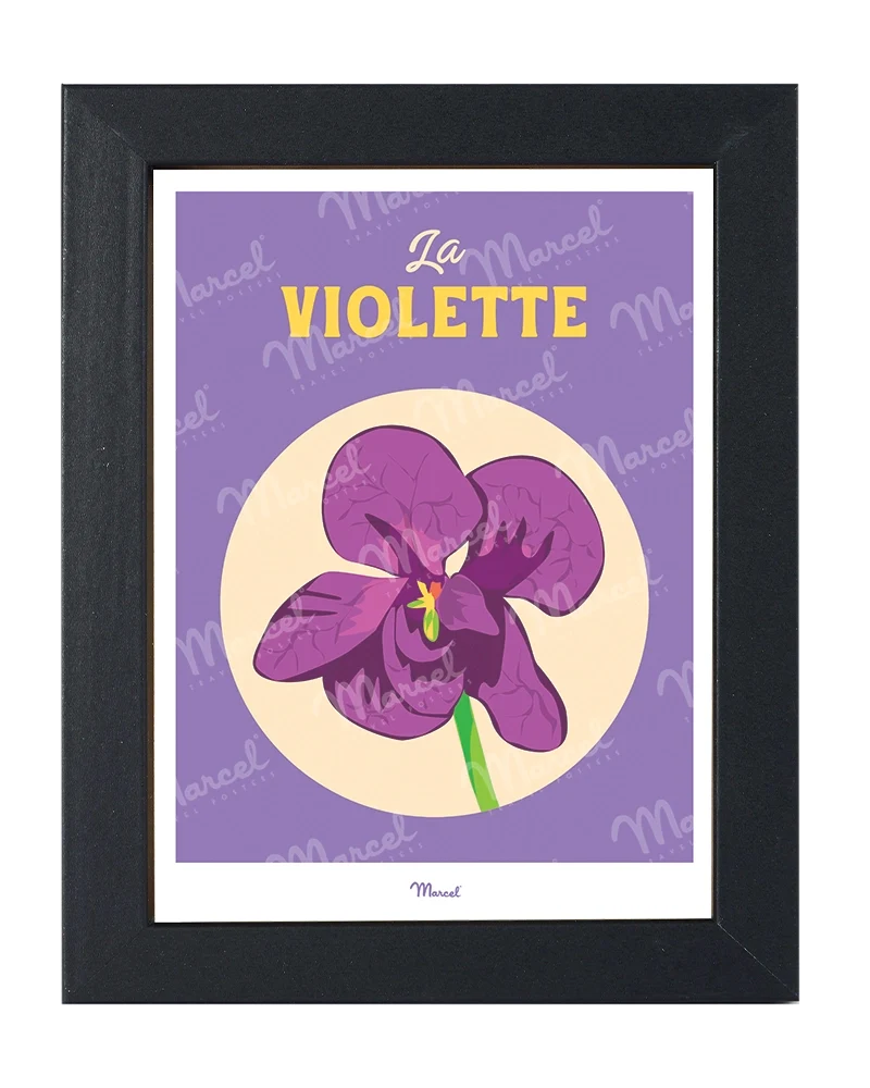 Carte Postale Travel Color TOULOUSE "La Violette"