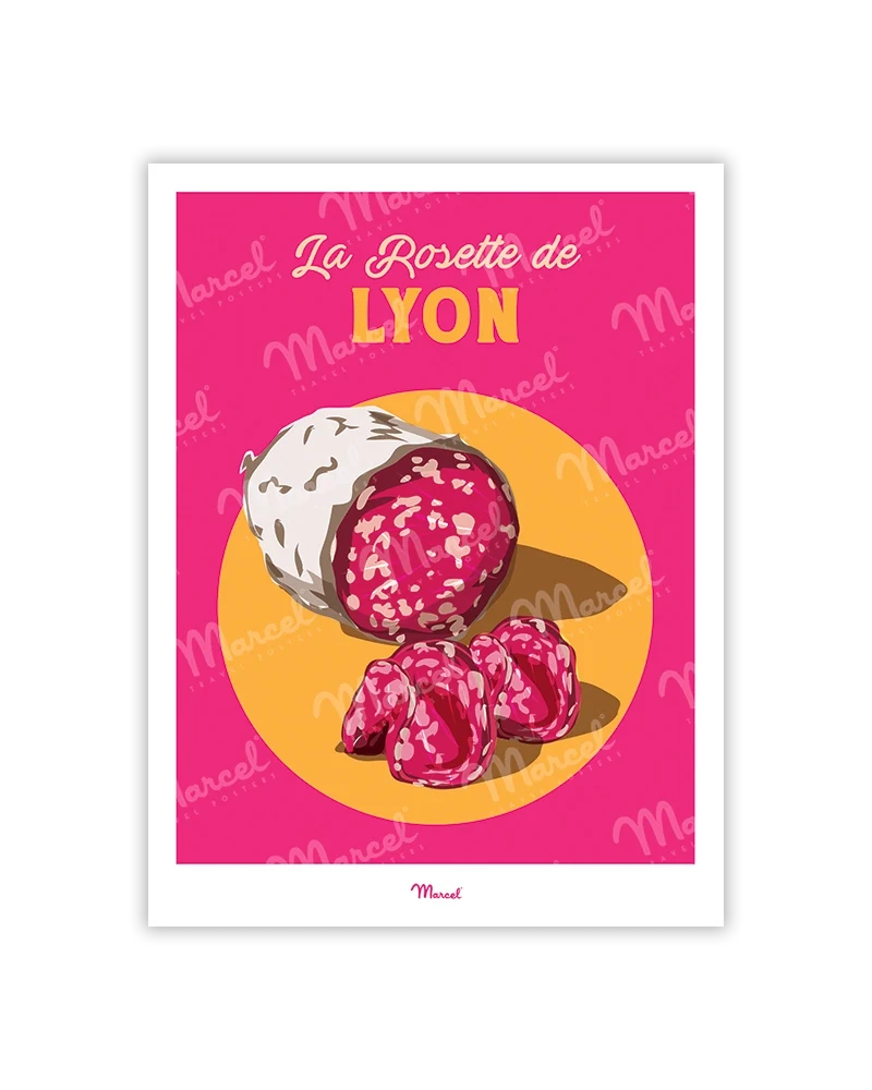 Carte Postale Travel Color LYON "Charcuterie La Rosette"