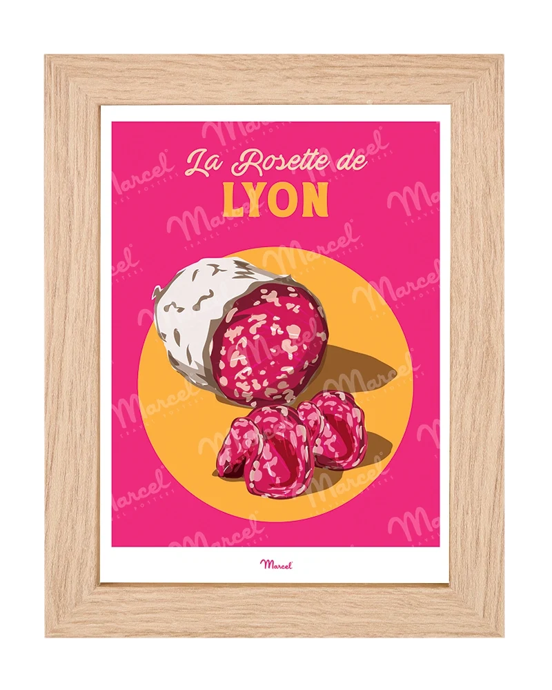 Carte Postale Travel Color LYON "Charcuterie La Rosette"