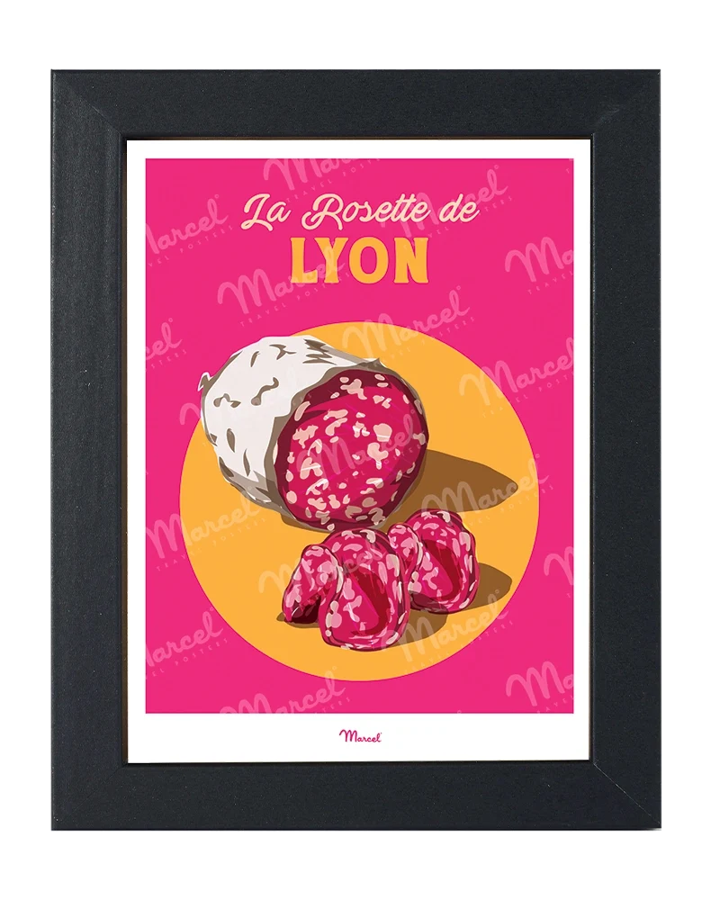 Carte Postale Travel Color LYON "Charcuterie La Rosette"