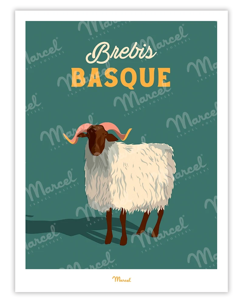 Affiche Travel Color "Brebis Basque"