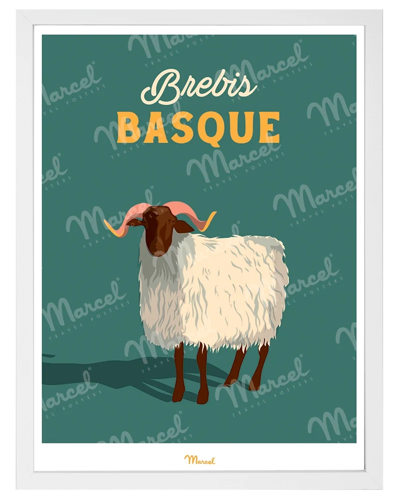 Affiche Travel Color "Brebis Basque"