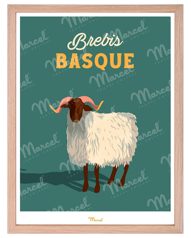 Affiche Travel Color "Brebis Basque"