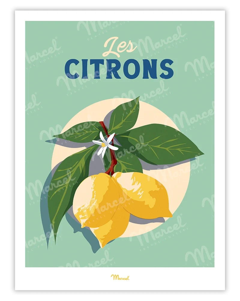 Affiche Travel Color "Les Citrons"
