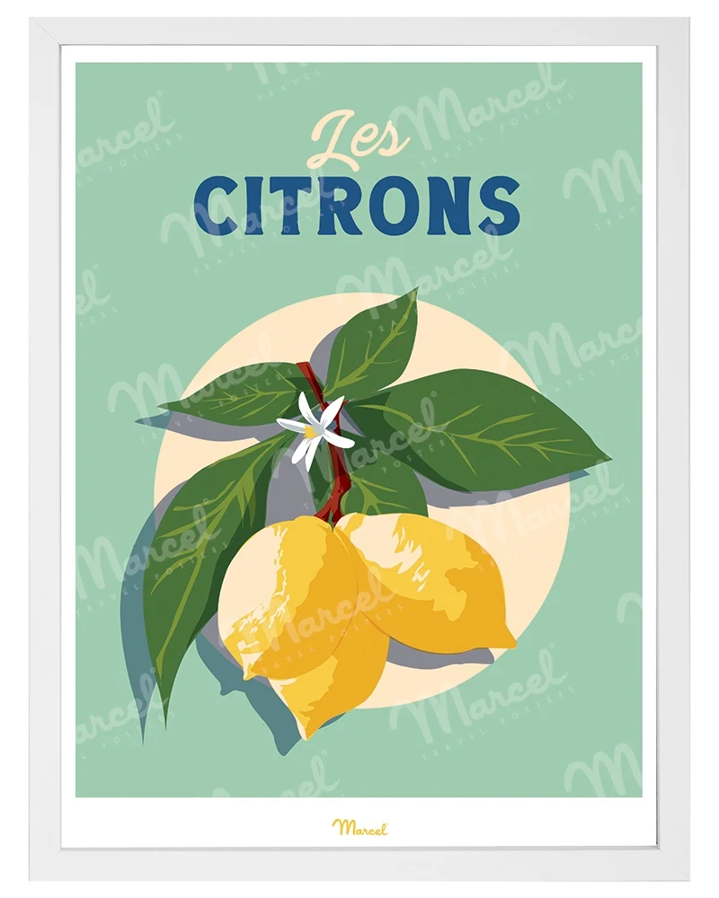 Affiche Travel Color "Les Citrons"