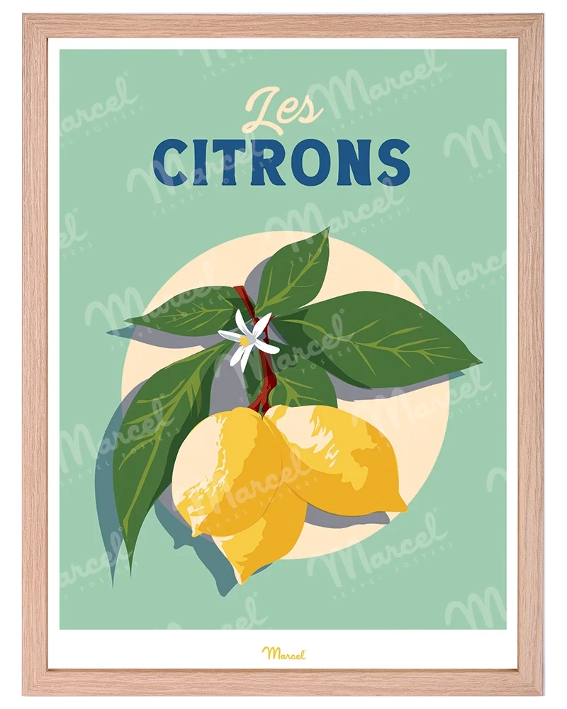 Affiche Travel Color "Les Citrons"
