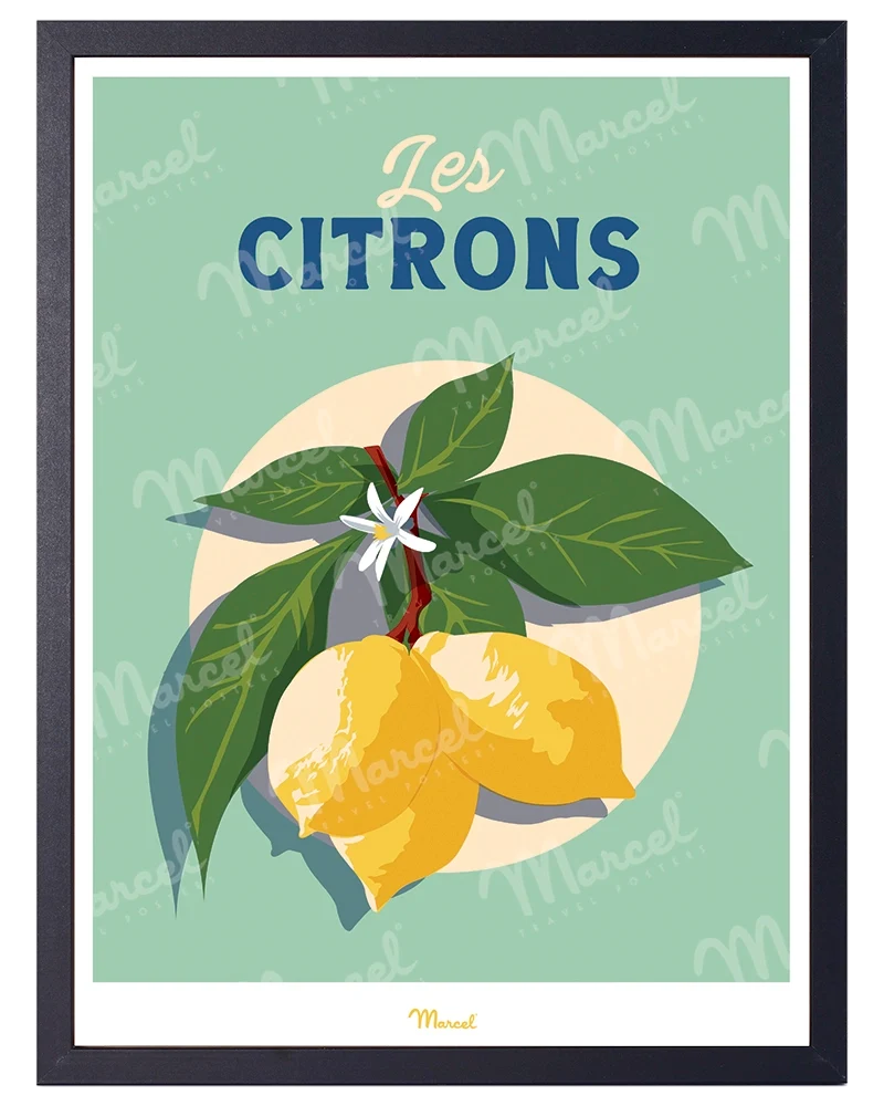 Affiche Travel Color "Les Citrons"