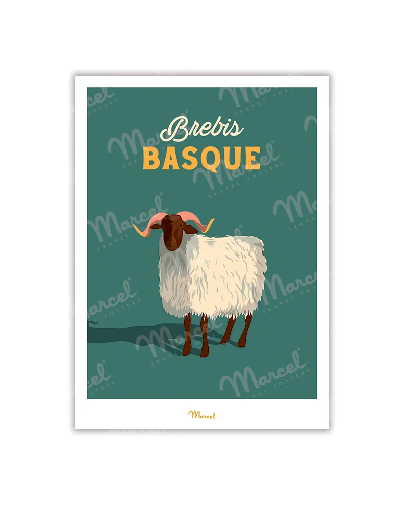 Carte postale Travel Color "Brebis basque"