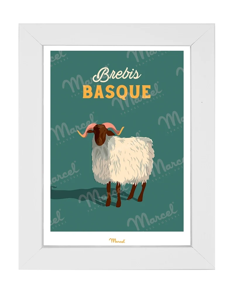 Carte postale Travel Color "Brebis basque"