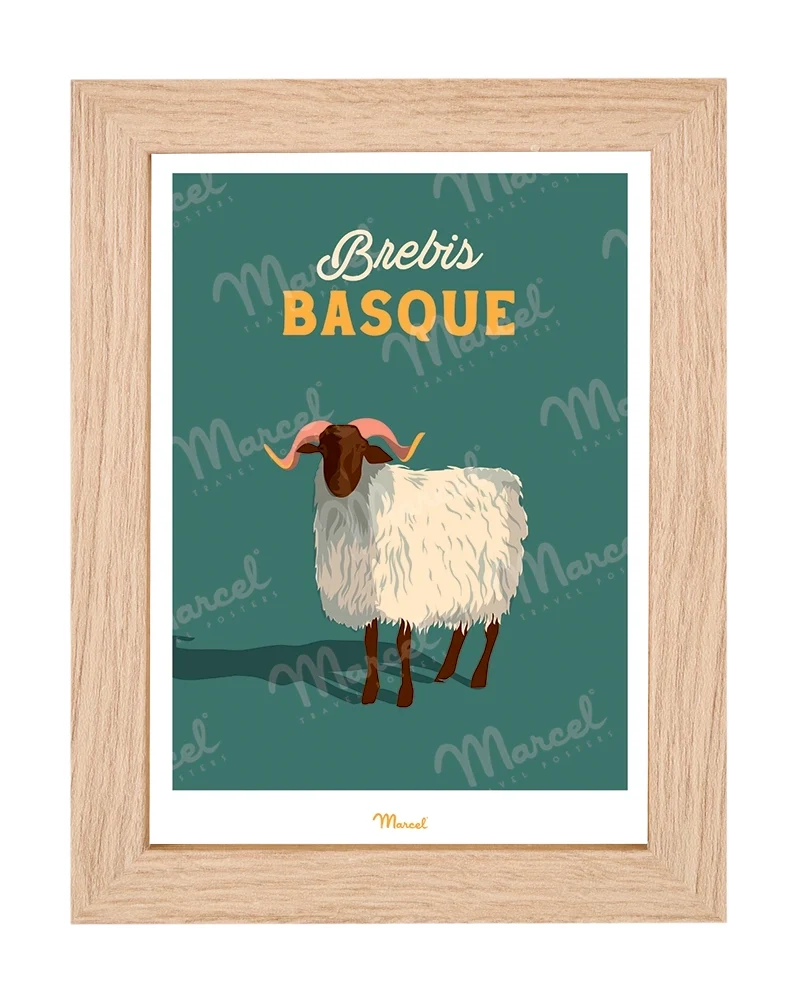Carte postale Travel Color "Brebis basque"