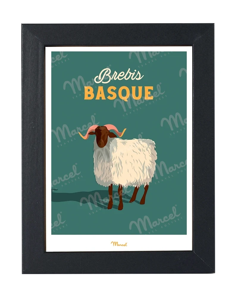 Carte postale Travel Color "Brebis basque"