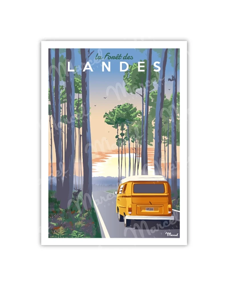 Carte Postale "Forêt des LANDES"