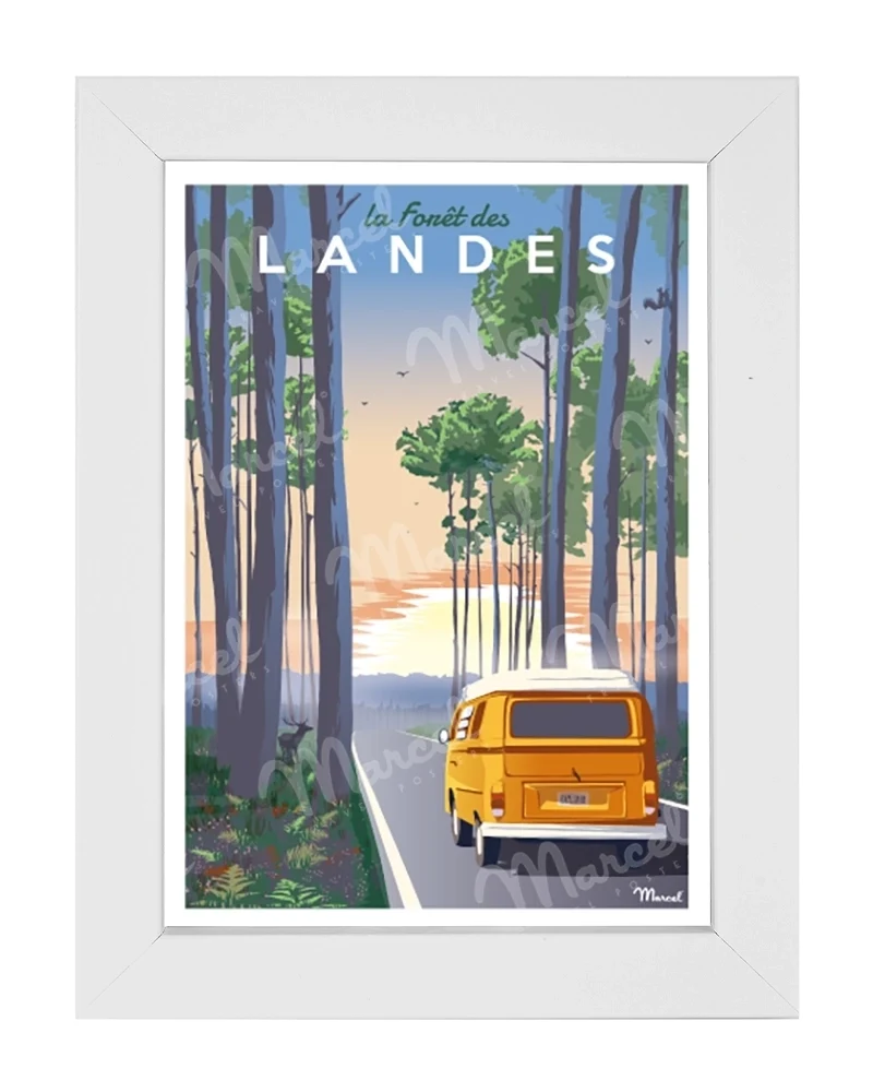 Carte Postale "Forêt des LANDES"