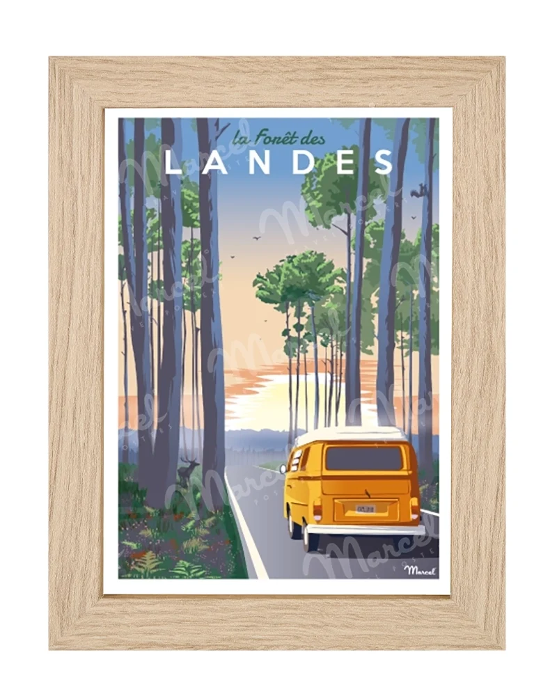 Carte Postale "Forêt des LANDES"