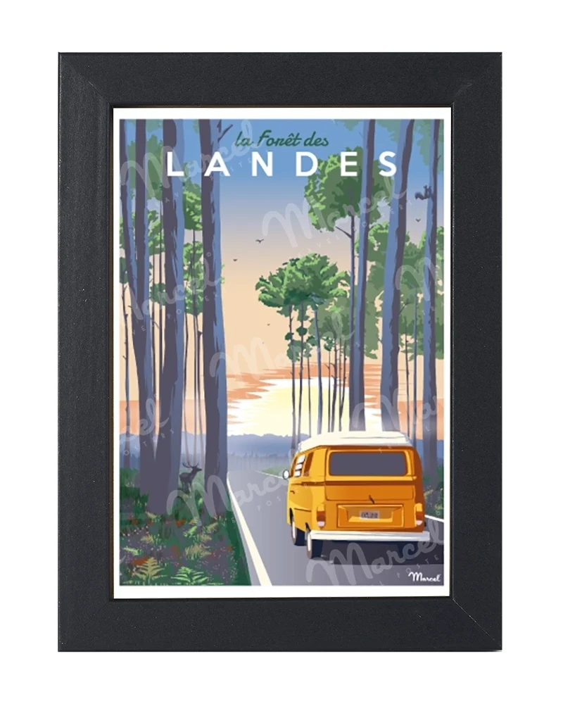 Carte Postale "Forêt des LANDES"