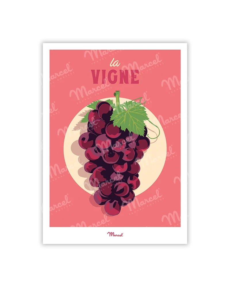 Carte Postale Travel Color "Vin et Grappe de raisin"