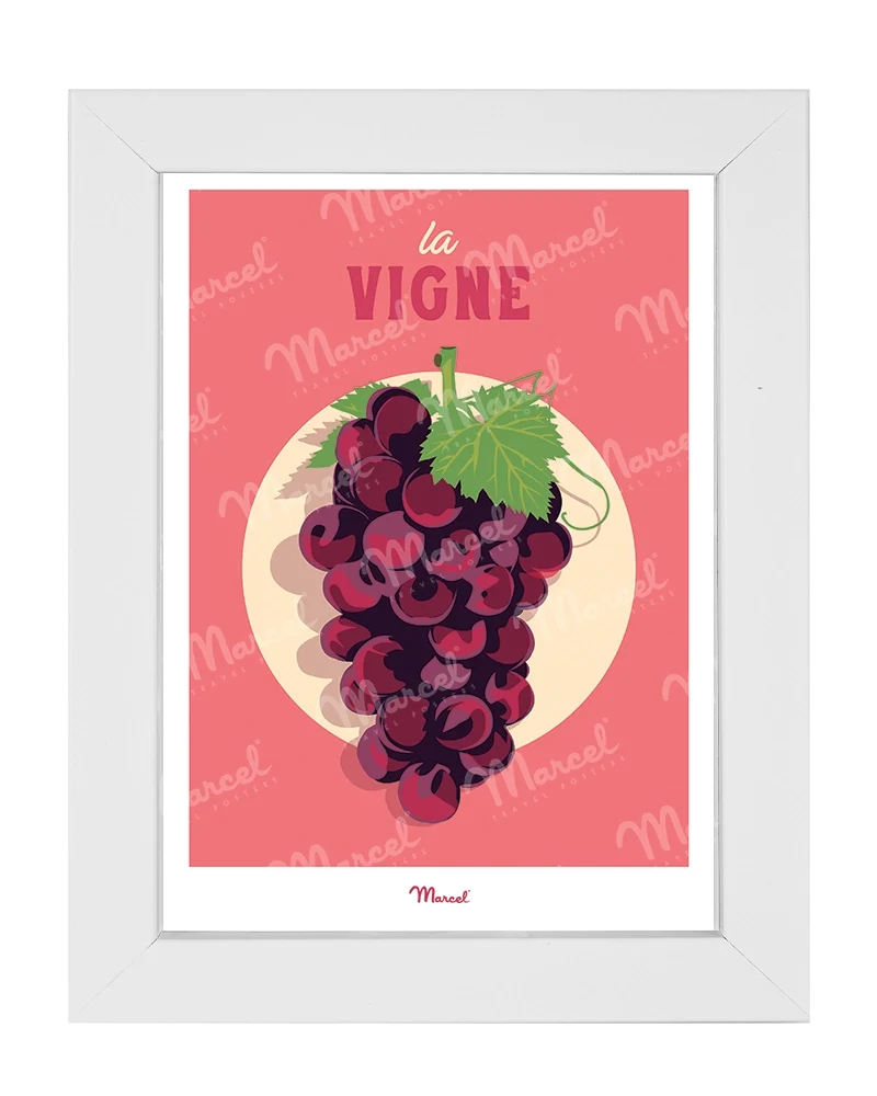 Carte Postale Travel Color "Vin et Grappe de raisin"