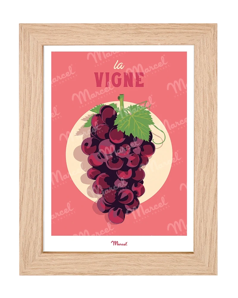 Carte Postale Travel Color "Vin et Grappe de raisin"