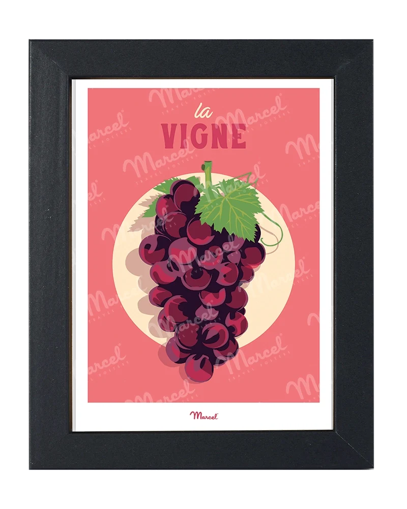 Carte Postale Travel Color "Vin et Grappe de raisin"