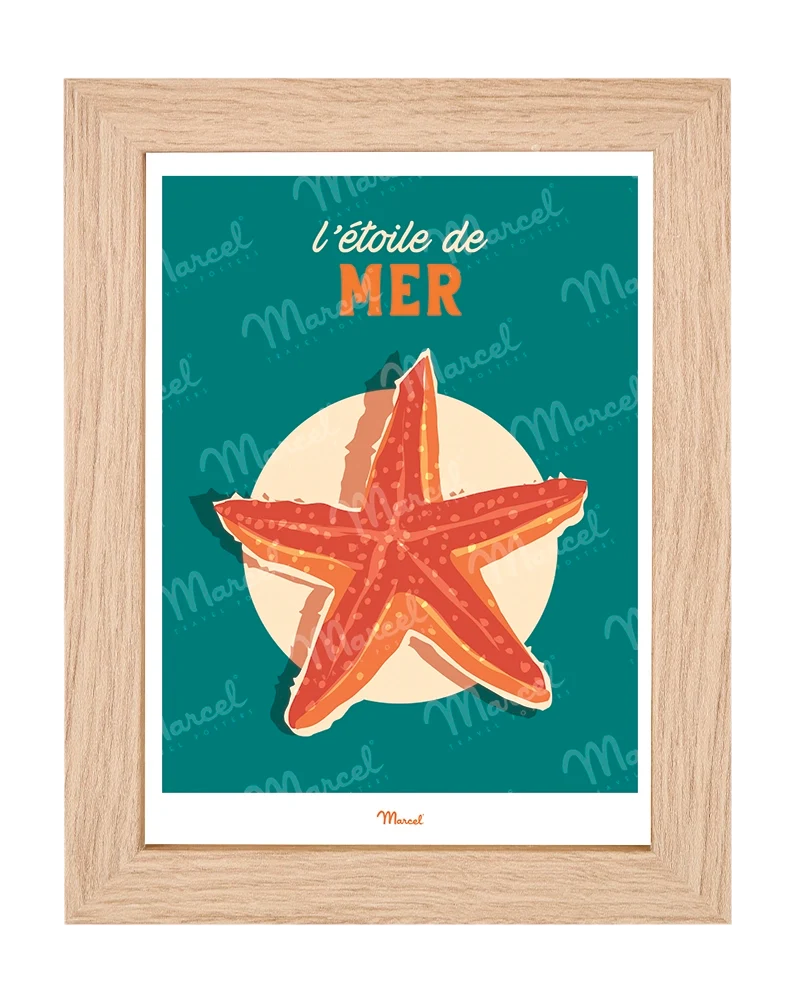 Carte postale Travel Color "L'Etoile de Mer"