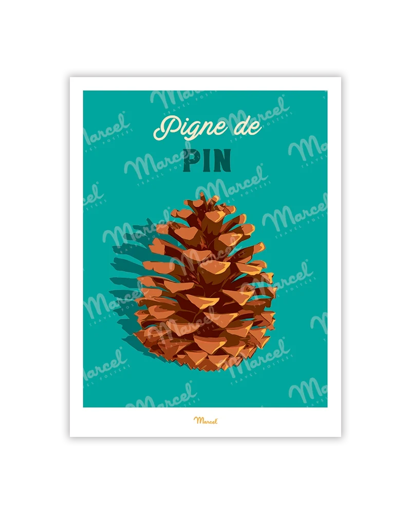 Carte postale Travel Color "Pigne de pin"