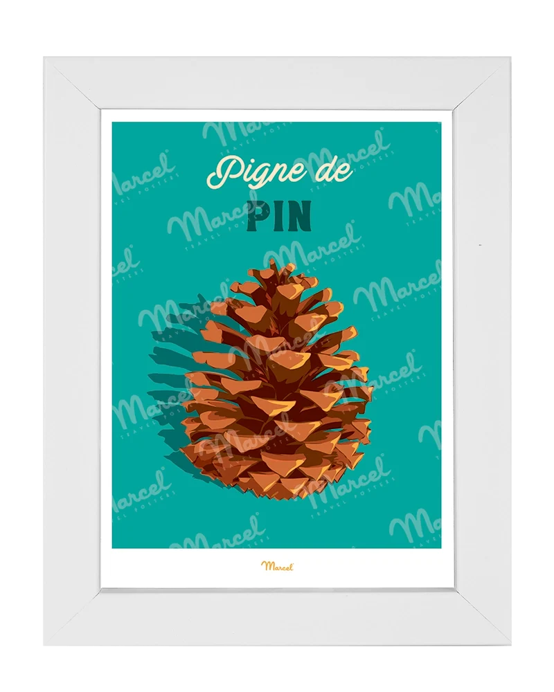 Carte postale Travel Color "Pigne de pin"