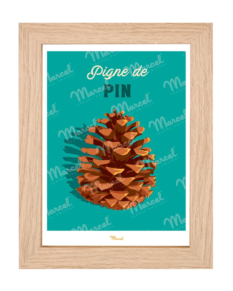 Carte postale Travel Color "Pigne de pin"