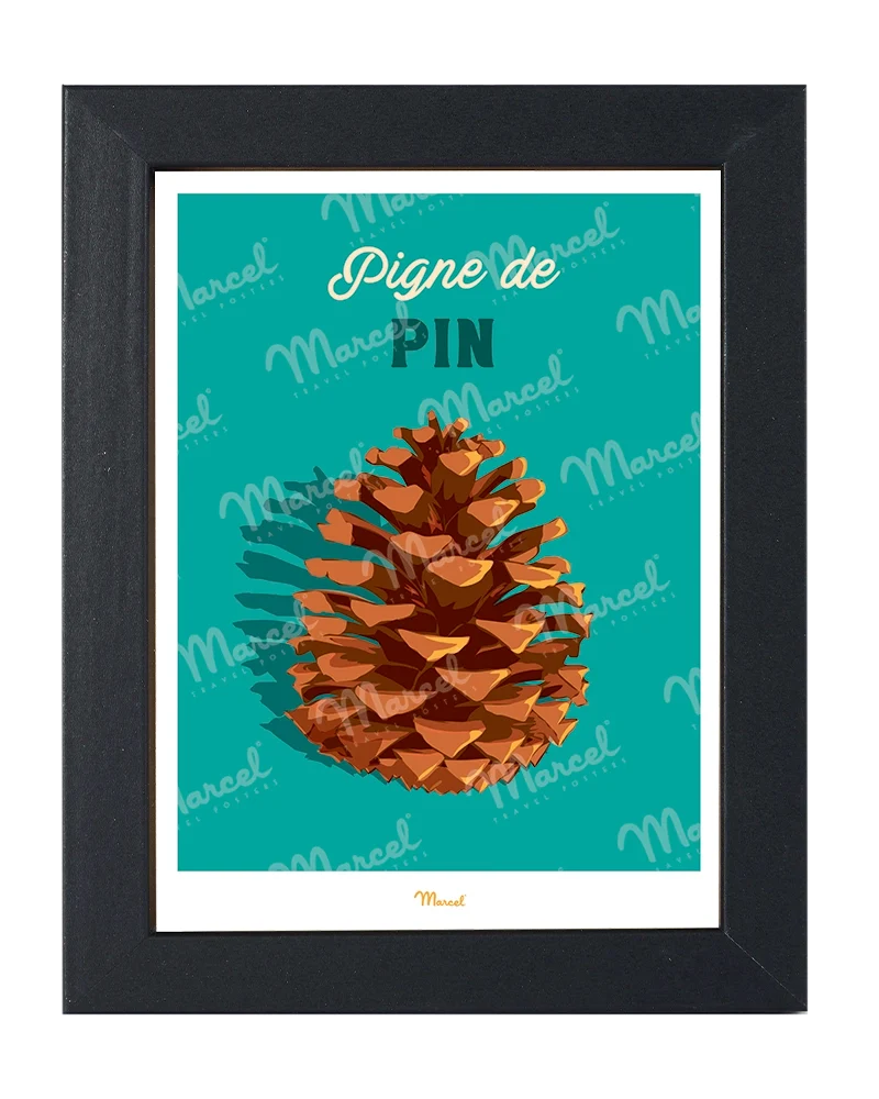 Carte postale Travel Color "Pigne de pin"