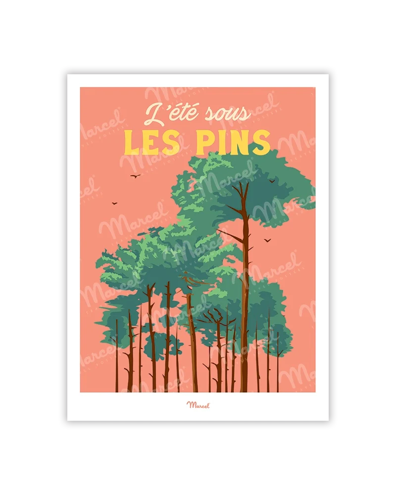 Carte postale Travel Color "L'été sous les Pins"