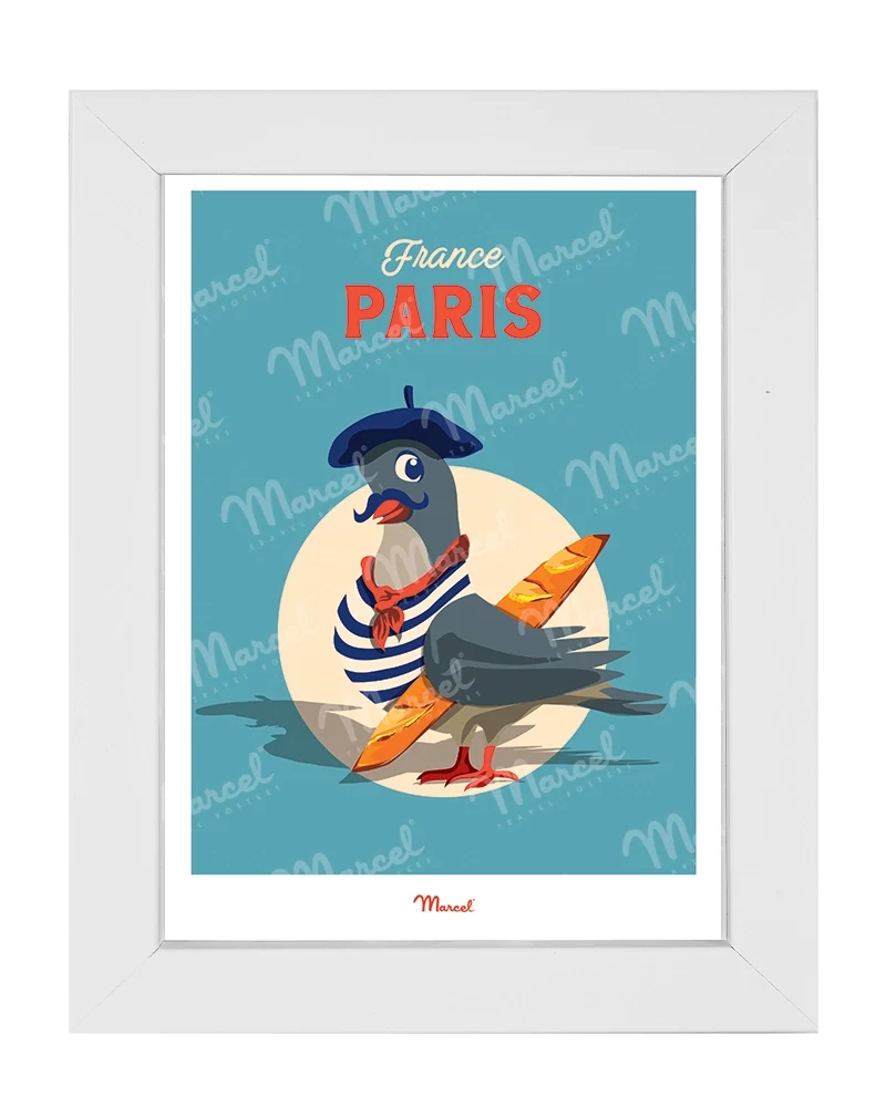 Carte postale Travel Color PARIS "Pigeon"