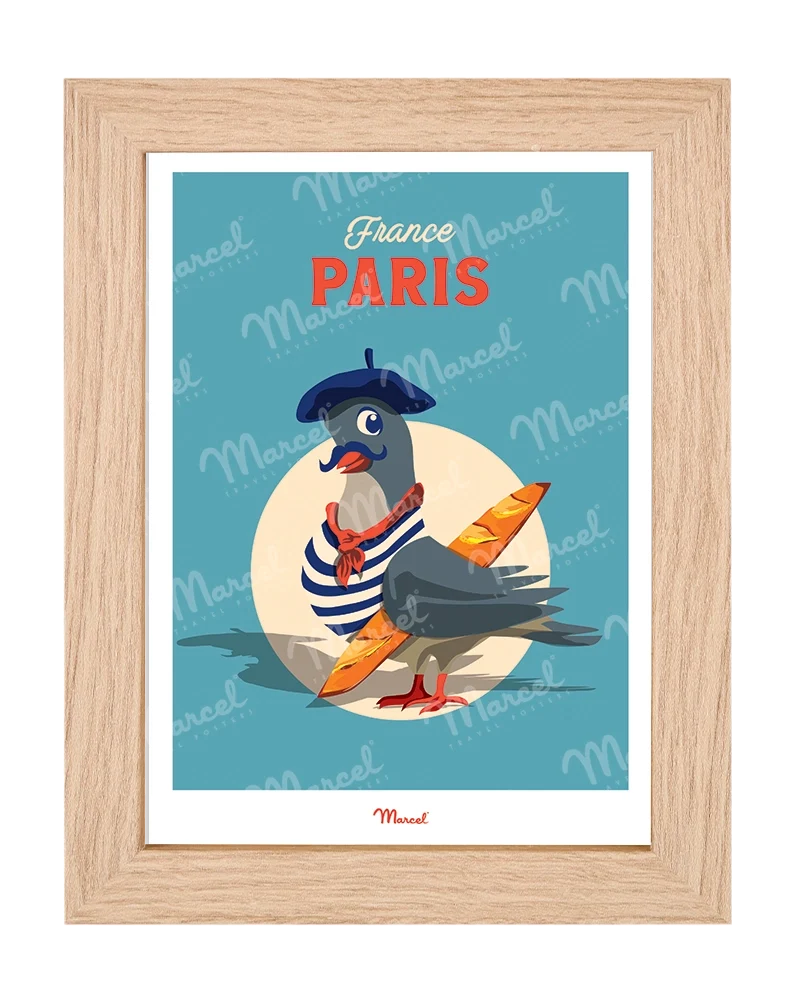 Carte postale Travel Color PARIS "Pigeon"