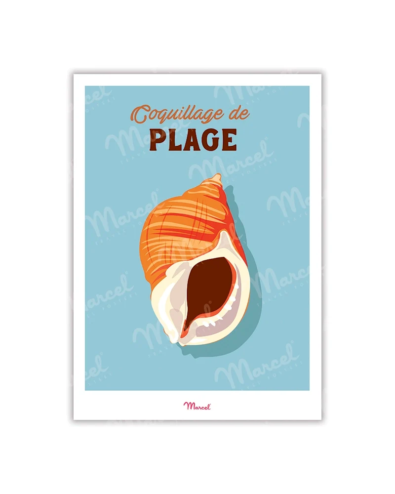 Carte postale Travel Color "Coquillage de Plage"