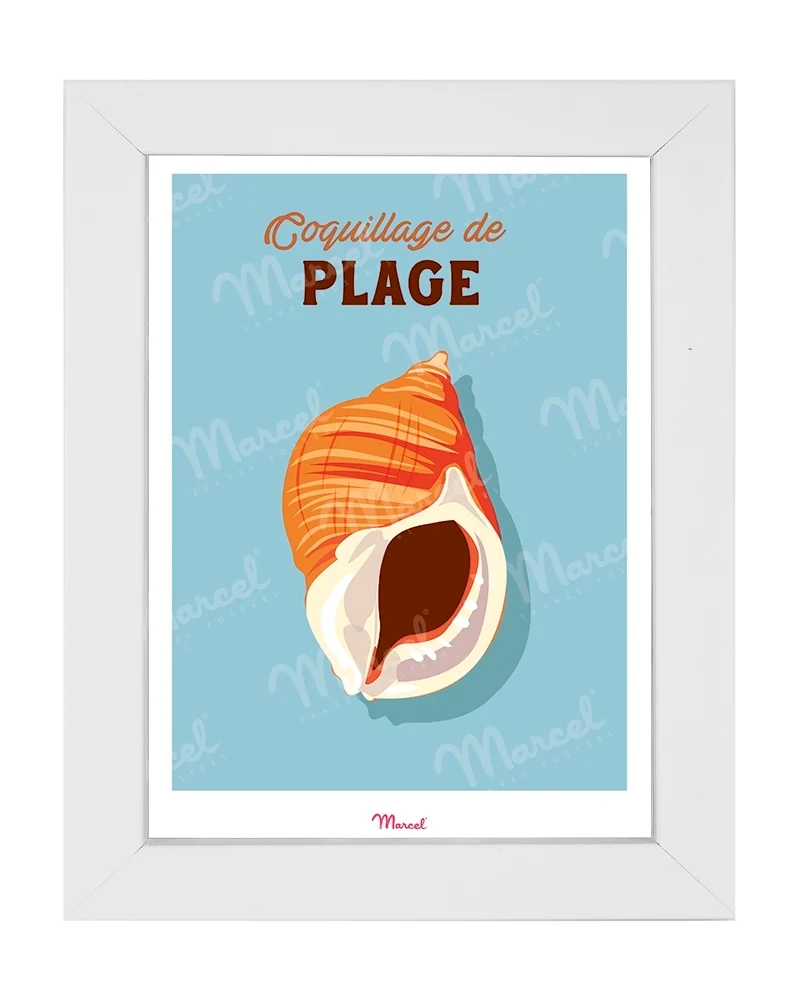Carte postale Travel Color "Coquillage de Plage"