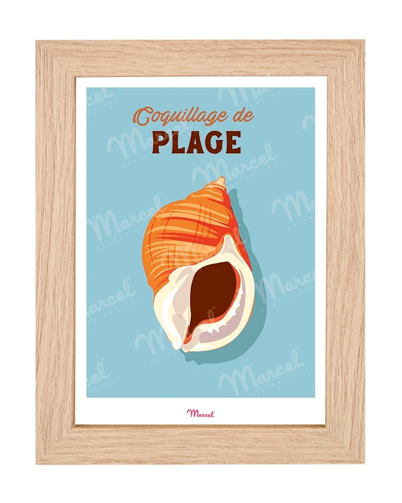Carte postale Travel Color "Coquillage de Plage"