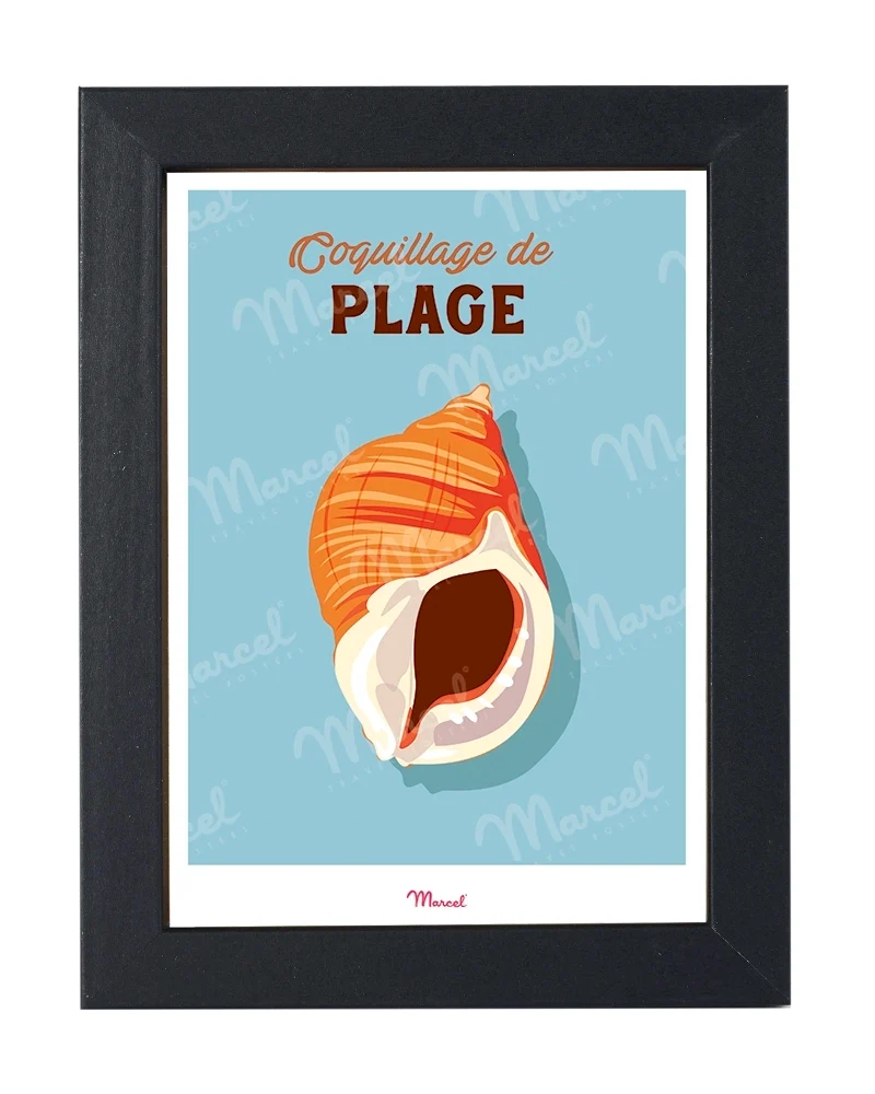 Carte postale Travel Color "Coquillage de Plage"
