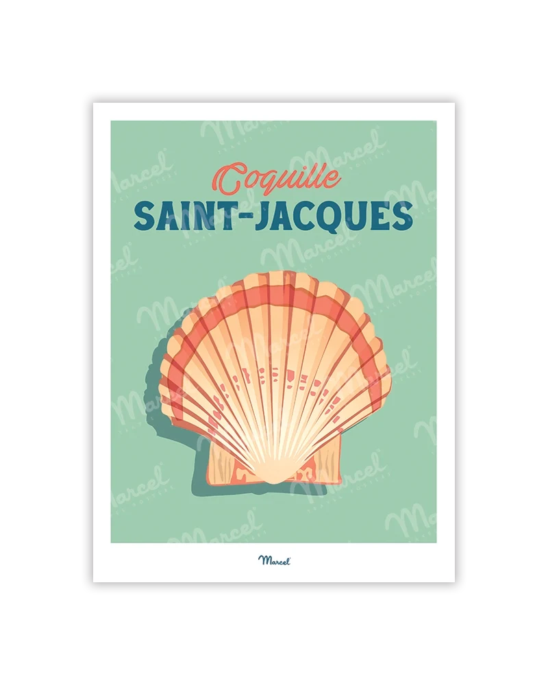 Carte postale Travel Color "Coquille Saint-Jacques"