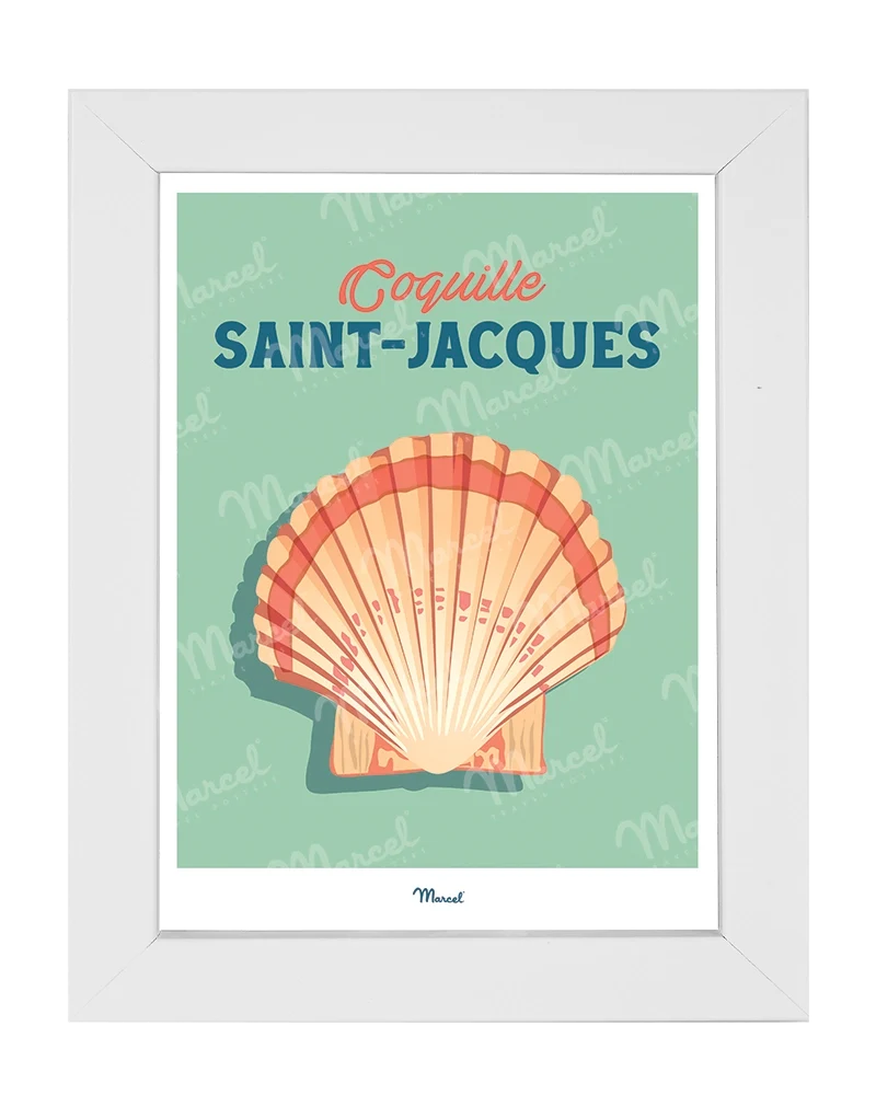 Carte postale Travel Color "Coquille Saint-Jacques"