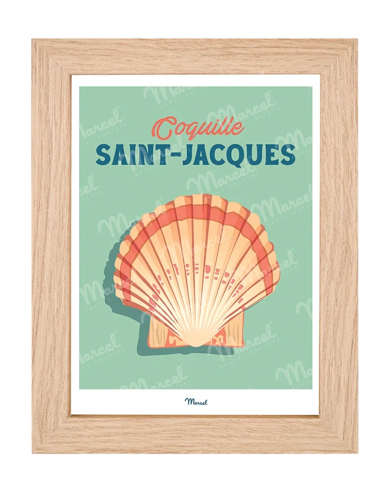Carte postale Travel Color "Coquille Saint-Jacques"