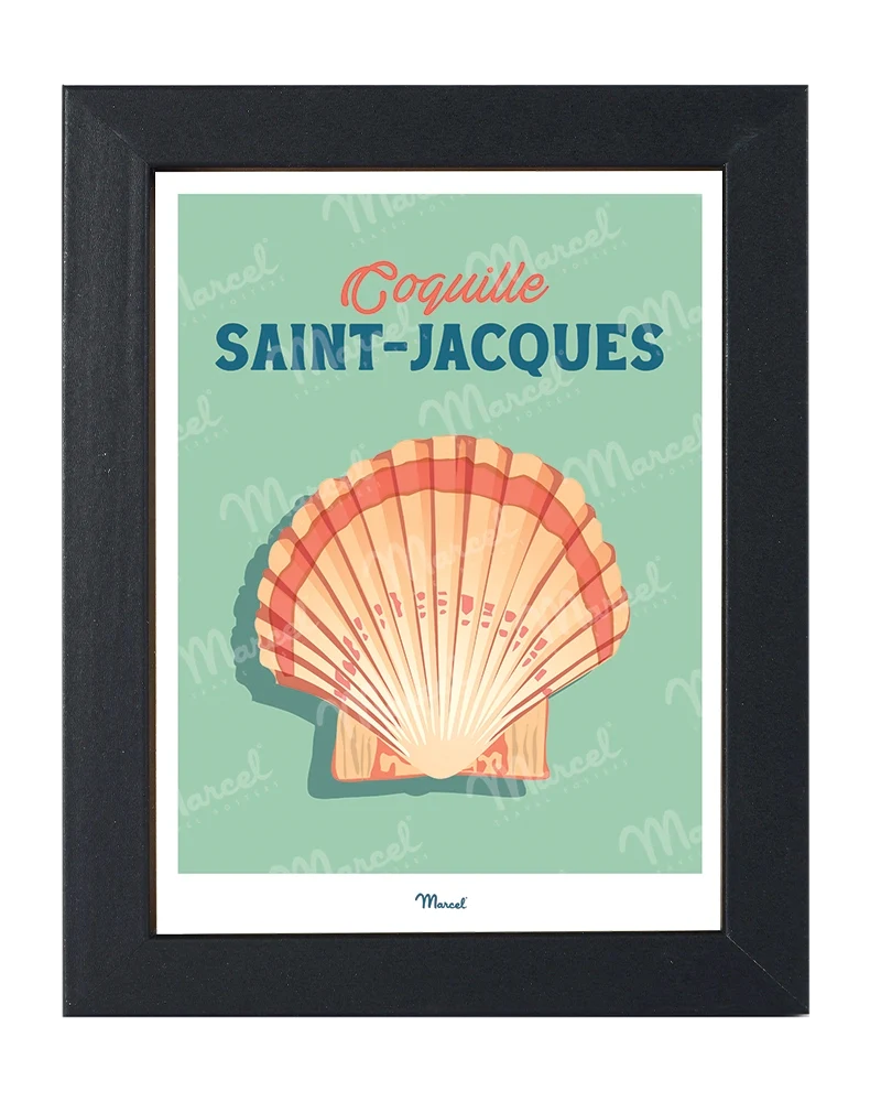 Carte postale Travel Color "Coquille Saint-Jacques"