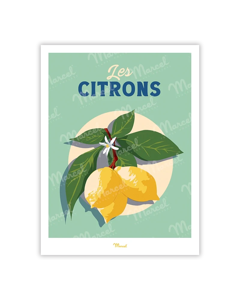 Carte postale Travel Color "Les Citrons"