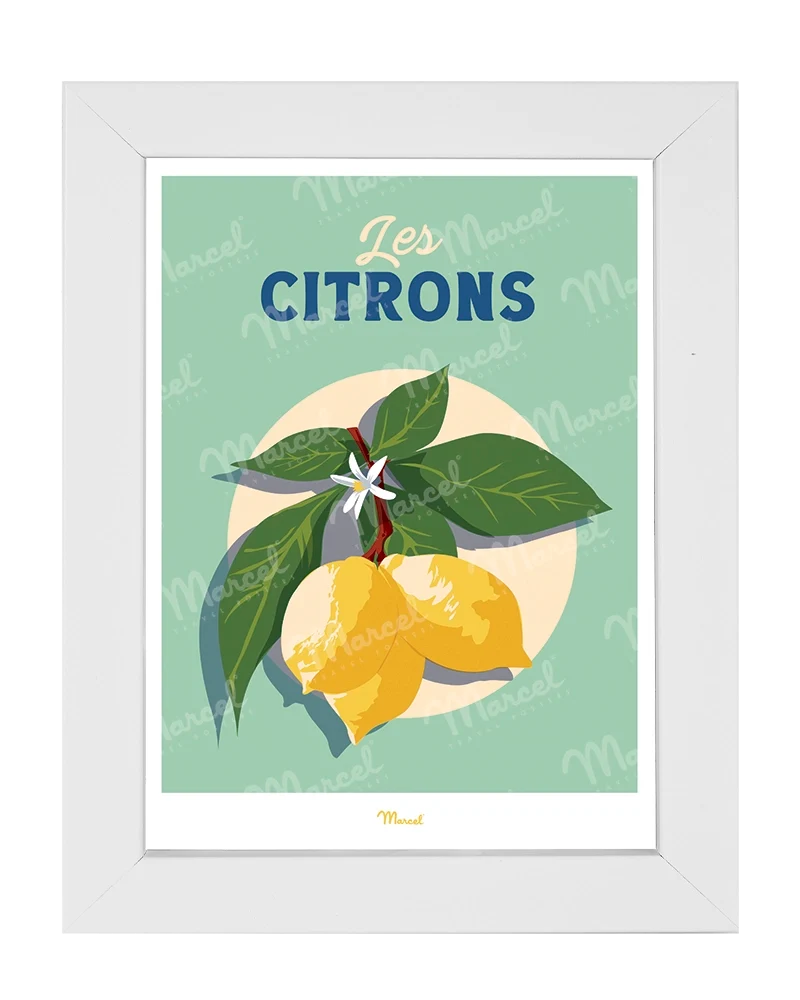 Carte postale Travel Color "Les Citrons"