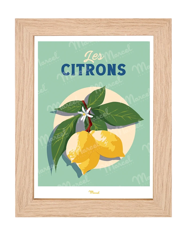 Carte postale Travel Color "Les Citrons"