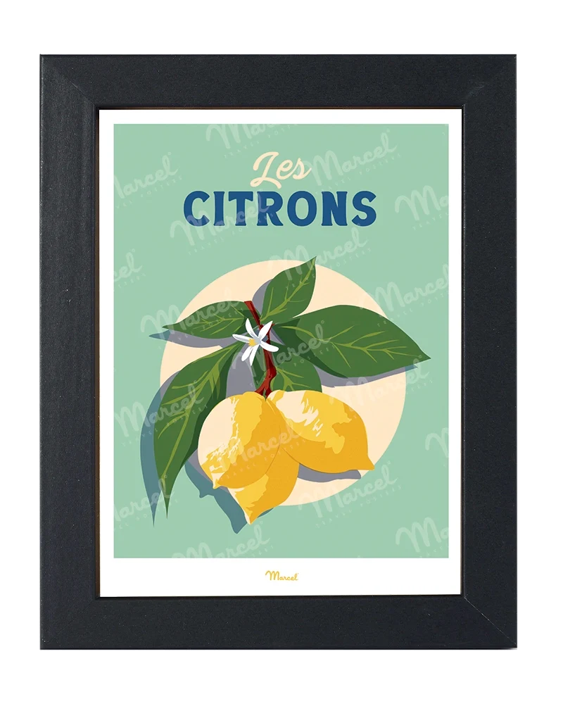 Carte postale Travel Color "Les Citrons"