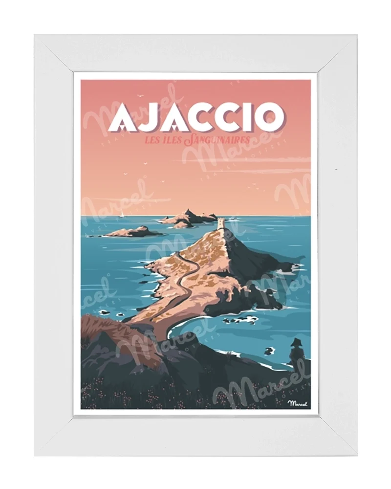 Carte Postale AJACCIO "Les Îles Sanguinaires"